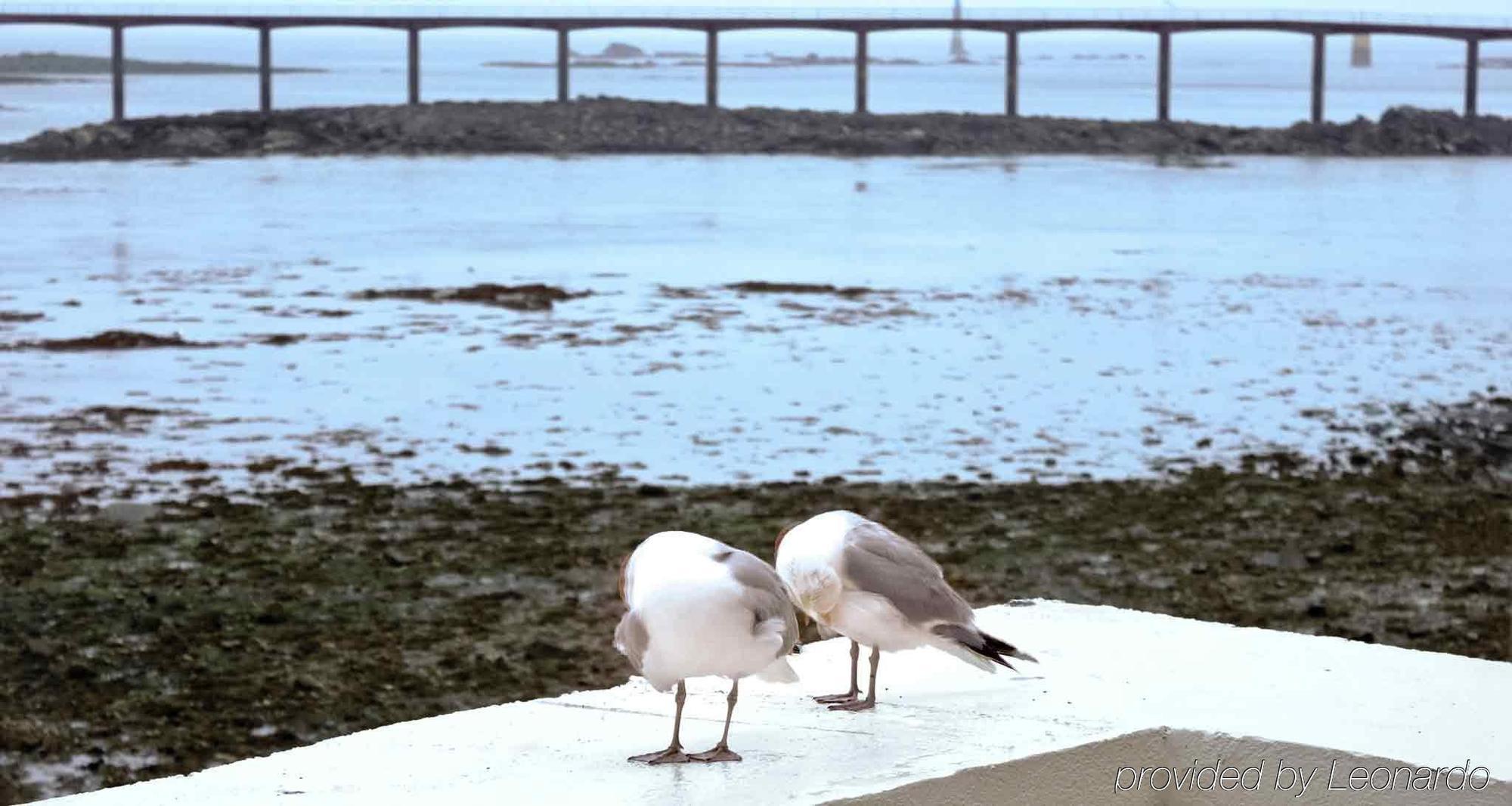 Ibis Roscoff Hotell Exteriör bild